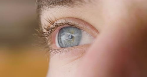 Makroaufnahme eines blauen Auges beim Umschauen inmitten der Natur. Konzept von: Augen, Sehen, Natur
