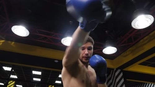 Portrait of a Young Muscular Guy in Blue Boxing Gloves in the Gym