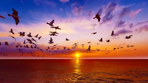 Seagulls Flying over the Ocean at Sunset