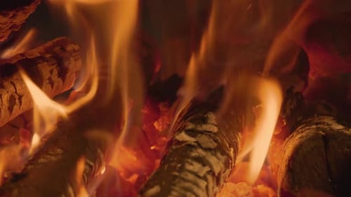 Fire