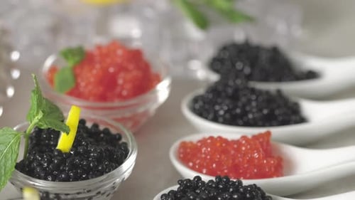 Tasting salmon red caviar and black beluga sturgeon salted roe. Set delicious holiday snacks
