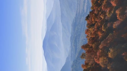 Vertical Video Flight Over Mountains with Autumn Forests