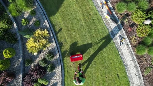 Lawn Care Tips for a Healthy Garden in Summer