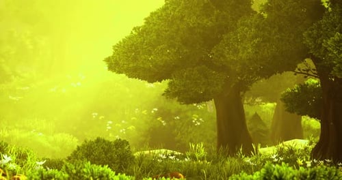 Une majestueuse lueur dorée enveloppe une forêt sereine à l'aube