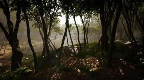 Paysage de forêt d'automne sombre et magique avec des rayons de lumière chaude
