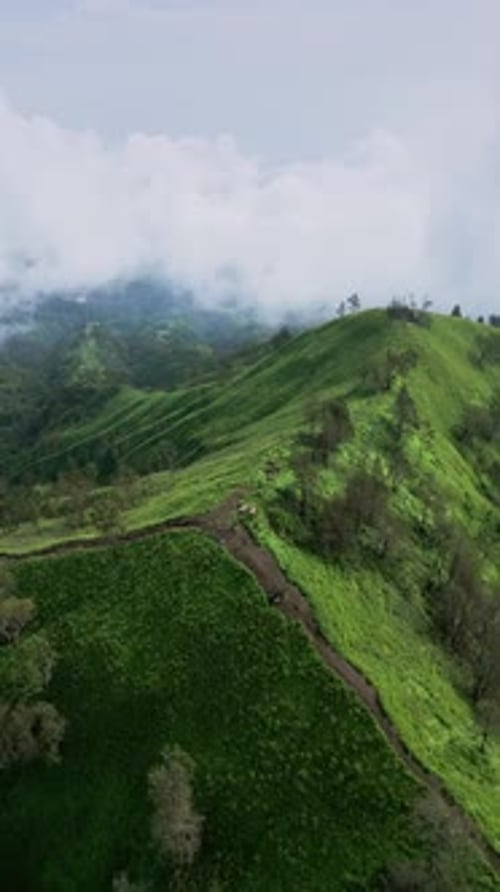 Une prise de vue verticale prise par un drone capture la colline verdoyante de Bali qui brille chaleureusement dans la lumière calme de l'aube.