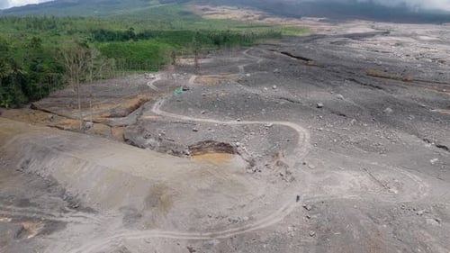 Aerial view showing the stark contrast between the lush green forest and the barren, ash covered