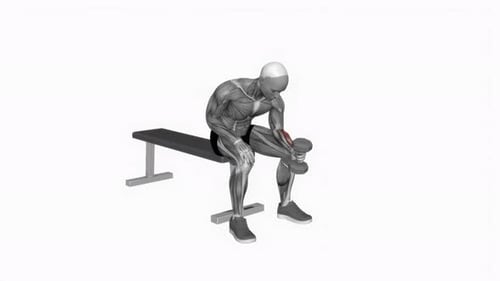 Anatomical Wrist Curl with Dumbbell Exercise Animation