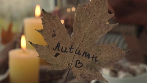 Autumn Maple Leaf with Candles and Hot Chocolate