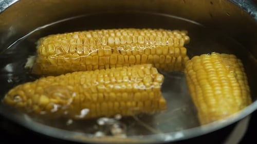 Corn on the Cob Boiling in Water