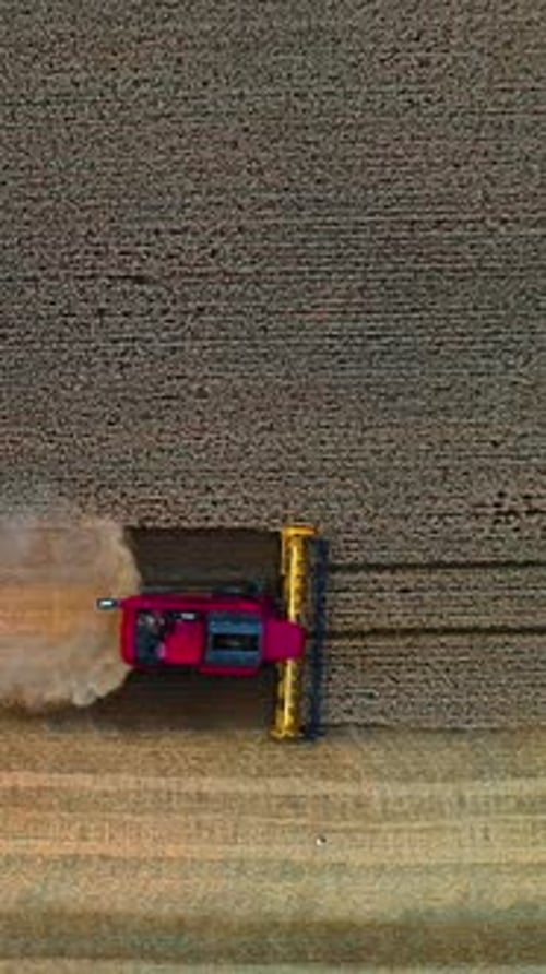 Vue aérienne de la moissonneuse-batteuse travaillant sur le grand champ de blé. Matériel de récolte des céréales sur le terrain