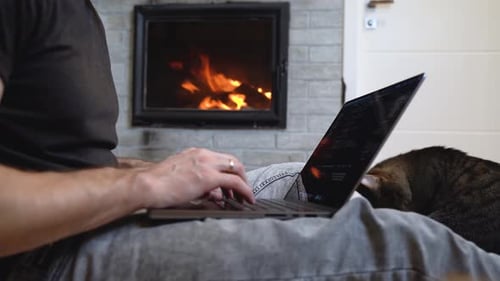 Das gemütliche Wohnambiente inspiriert den Mann, Code auf einem Laptop zu schreiben, während eine Katze in der Nähe ist
