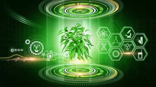 Futuristic plant technology and science concept
