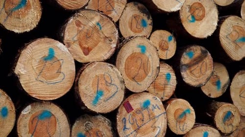 Pile Of Wood Wooden Logs As Background