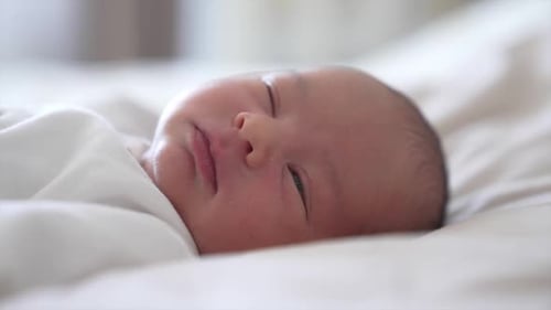 Precious Newborn Infant Resting Peacefully in Soft Light