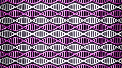 Purple or Pink and White DNA molecules move in a loop in 4K