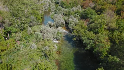 Aerial view of river with clear shallow water flowing through green summer forest in sunny day.