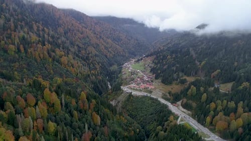 Fog Cloud Forests and Houses
