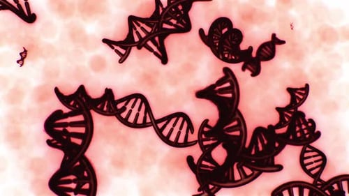 Animated DNA Strands Rotation in Blood Cells Background