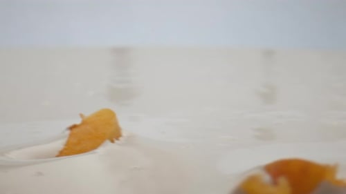 Macro View Falling Juicy Apricot Into Fresh Organic Yogurt in Super Slow