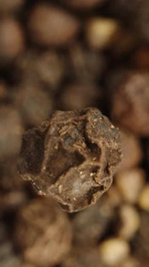 A black peppercorn falls down in slow motion onto a pile of other grains. Vertical, macro zoom.
