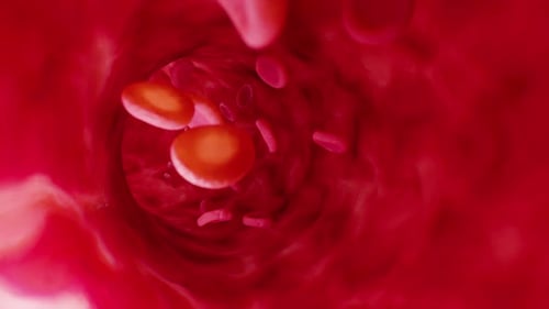 Red blood cells flowing powerfully through a vibrant blood vessel