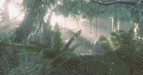 Lush Green Jungle with Sunlight Filtering Through Trees and Foliage