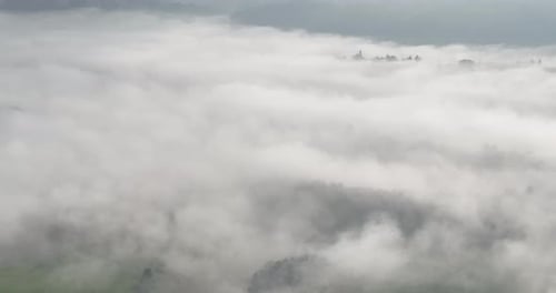 Aerial Drone Footage of Misty Fog Blowing Over Pine Tree Forest on a Beautiful Morning