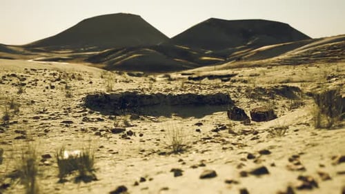Desolate Landscape of Mongolia with Distant Mountains and Dry Terrain