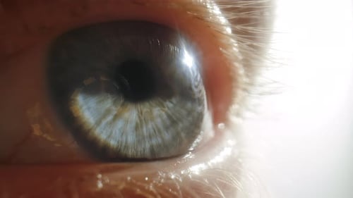 Extreme Close Up of Gray Blue Eye
