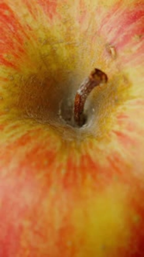 close up of a rotating apple stem, healthy fruit with vitamins, red and yellow apple
