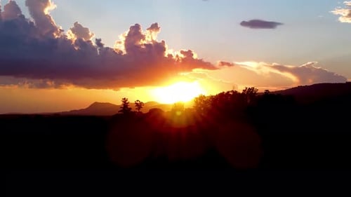 Sunset Forest At Green Background In Countryside Forest Trees.