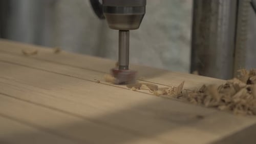 Pillar drill cutting holes in white oak timber. Medium Close Up