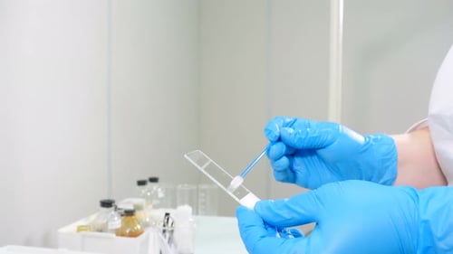 Pruebas biológicas realizadas
