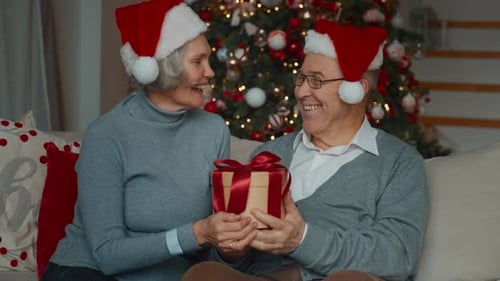 Senior Couple Exchanging Christmas Gift by Decorated Christmas Tree