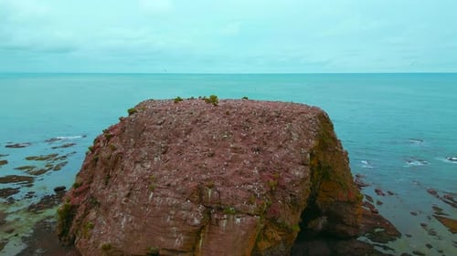 Sea Rock with House for Seagulls Clip Top View of Sea Cliff with Flying Gulls on Background of Sea
