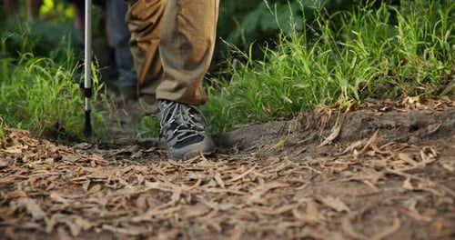 Bastón, pies y hombre haciendo senderismo en la naturaleza por senderos para aventuras, fitness o ejercicio