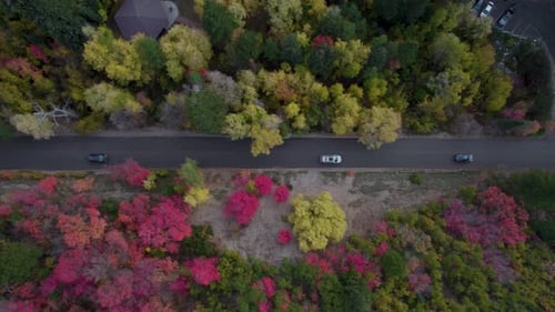Aerial: top shot of cars driving through colorful mountain forest trees in fall