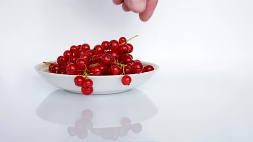 Bowl of Red Currants with Hand Picking Berries
