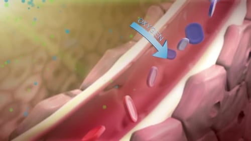 Medical Animation of Gas Exchange in a Capillary