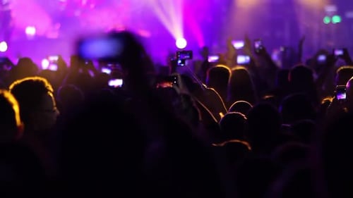 Energetic Crowd at a Concert with Vibrant Lights