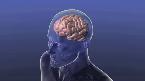 Human Brain and Neuron Network 3D Animation