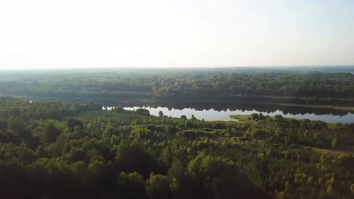 Nature Of Lake Secito 05