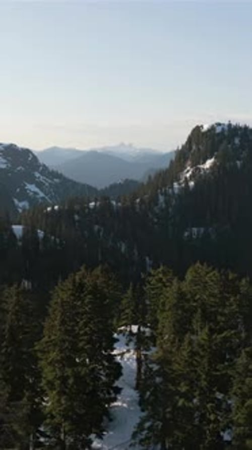 Snowy Mountain Peaks and Pine Forests in British Columbia, Canada