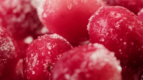 Frozen Cranberries in Snow for Tea Background Close Up of Cranberry Berries in Winter Park Ice