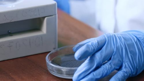 Petri Dish Placed on Microscope for Scientific Examination