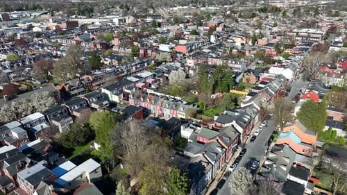 Quiet American city street. Establishing shot in residential district in USA. Colorful trees bloom d