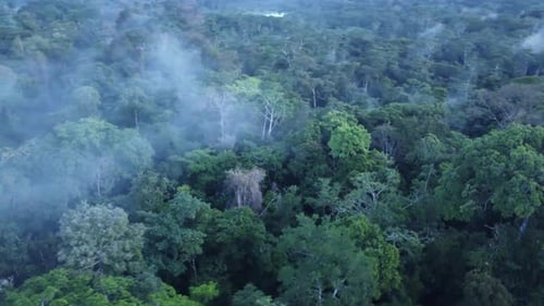 Fog In The Lush Rainforest Of Peru, South America - aerial drone shot