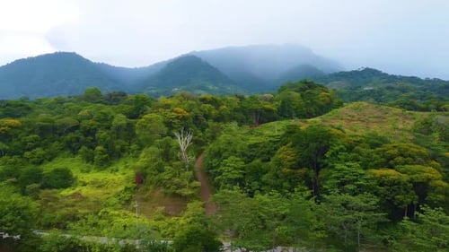Aerial drone shot of nature, tropical forest area, and ocean in the summer