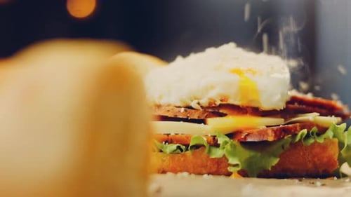 Delicious Open Faced Toasted Sandwich with Poached Egg